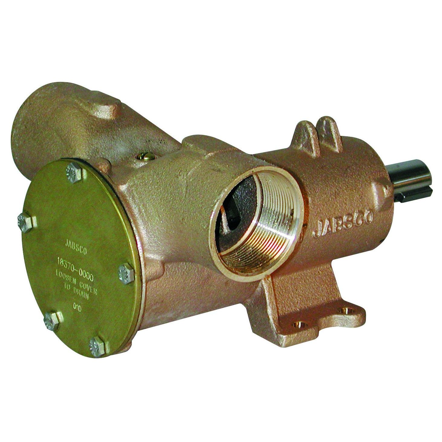 Impeller Pedestal Pumps