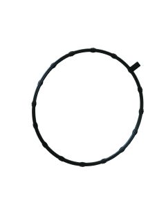 Throttle Body Gasket