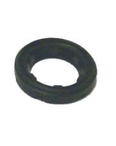 Thermostat Seal