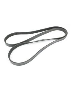 Serpentine Belt