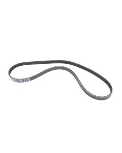 Serpentine Belt