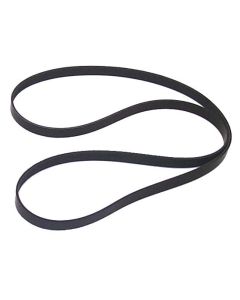 Serpentine Belt