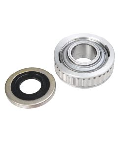 Seal & Bearing Kit