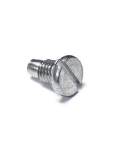 Magnetic Drain Screw