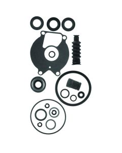 Lower Unit Seal Kit