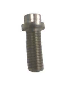 Stainless Steel Bolt