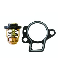 Thermostat Kit