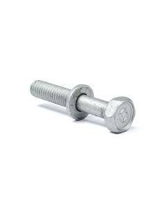 Bolt with Washer