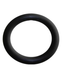 O-Ring (25-00163-1)