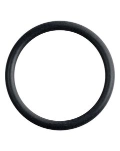 O-Ring (25-00208-1)