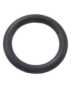 O-Ring (25-00210-1)