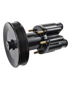 Complete Pump with Pulley (46-13199)