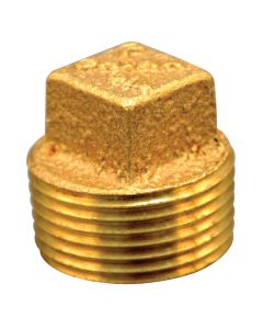 Brass Pipe Plugs (1” NPT)