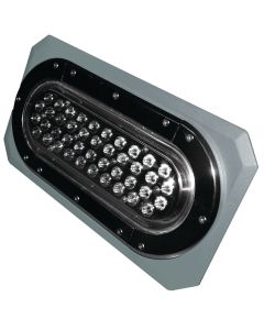 Polar Bear Series L.E.D. Light (80 Watt, 9570 Lumens)