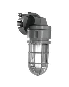 Non-Metallic Vaporproof Incandescent Fixture