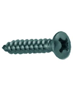 Phillips Oval Sheet Metal Screws (10 x 2, 4 pcs)