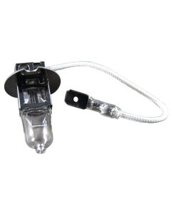 Halogen Floodlight Spare Bulb