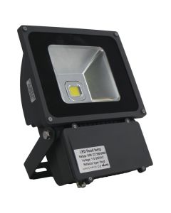 L.E.D. FloodLight - 12OVAC (100 Watts)