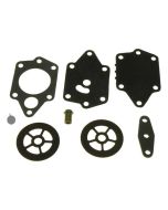 Fuel Pump Repair Kit (1399-01434)