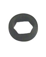 Oil Seal