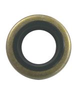 Oil Seal