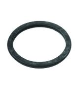 Thermostat Gasket